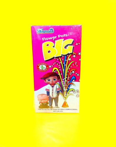 Flower Pot Big (10 Pcs)